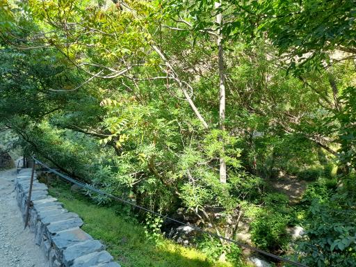 عکس بوستان دارآباد