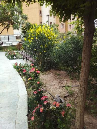 عکس مجتمع مسکونی رازی