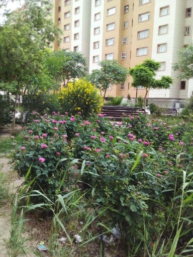 عکس مجتمع مسکونی رازی