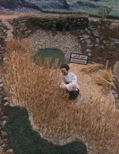 عکس موزه نان کارخانه نان مزرعه