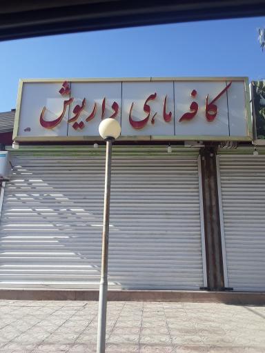 عکس کافه ماهی داریوش
