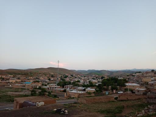 عکس یکه توت