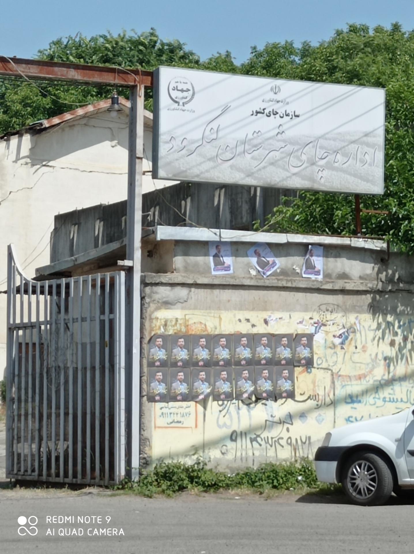 عکس اداره چای شهرستان لنگرود