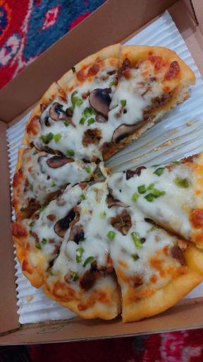 عکس ساندویچ ترک