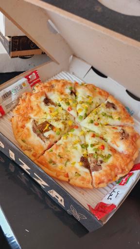 ساندویچ ترک