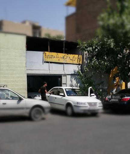 عکس کارواش دیانا