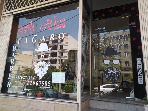 پیرایش رامین