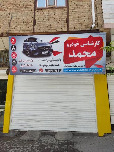 عکس کارشناسی خودرو محمد