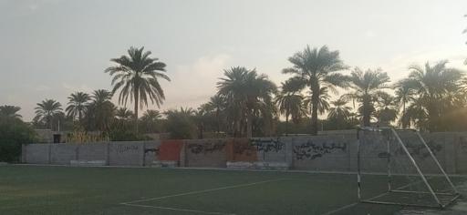 عکس چمن مصنوعی شهردراز