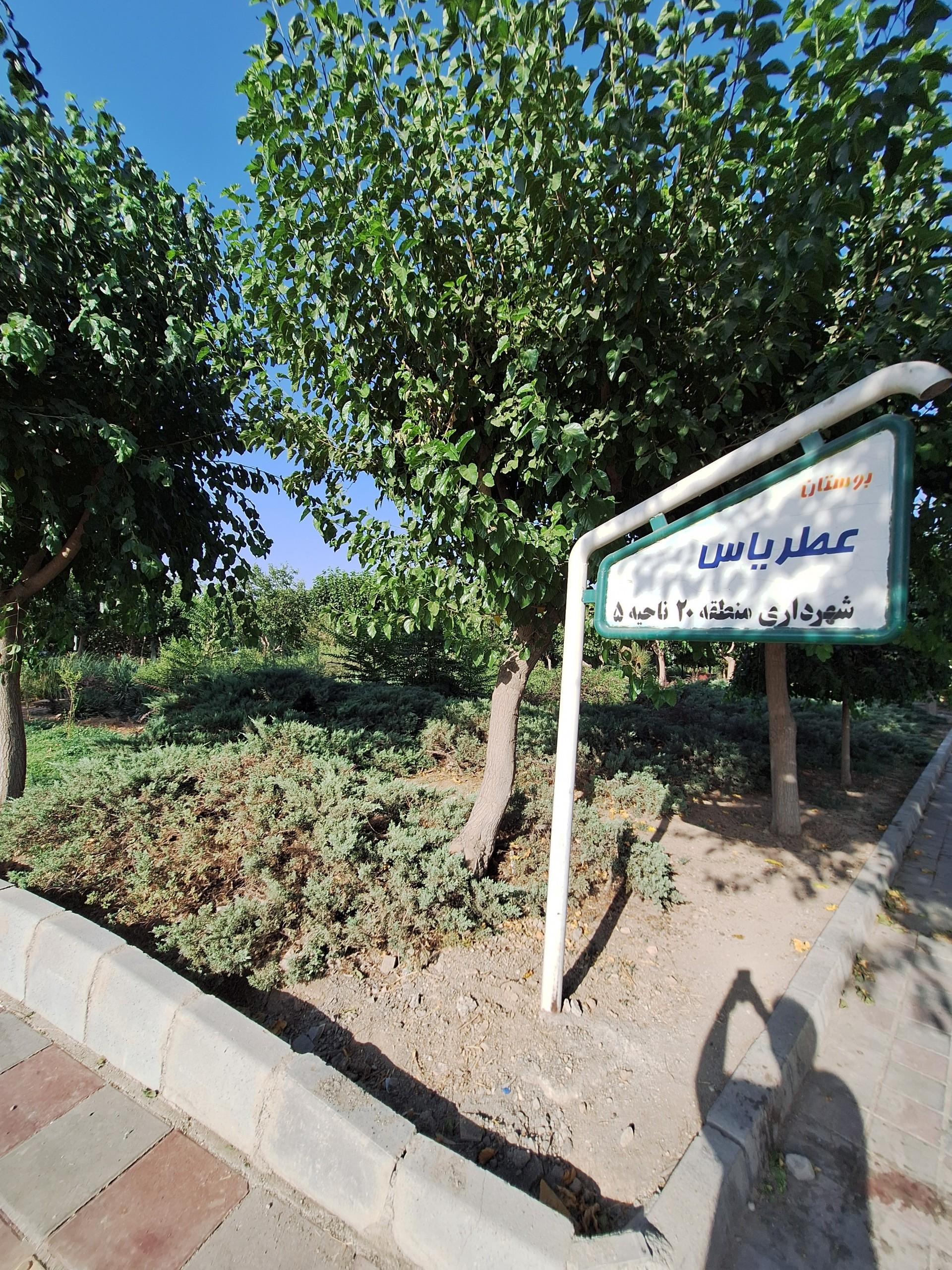 عکس بوستان عطر یاس