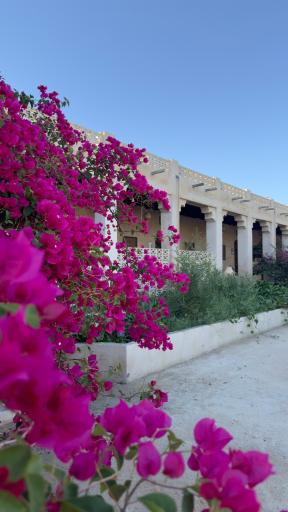 عکس اقامتگاه بومگردی خانه دوست