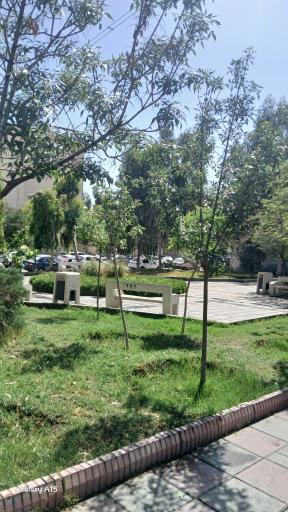 عکس پارک تاک