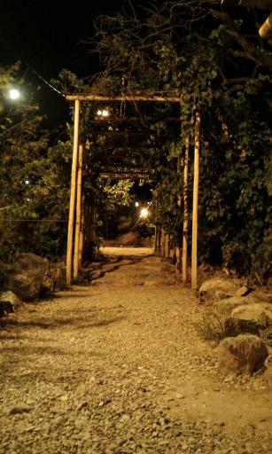 اقامتگاه باغ روستا