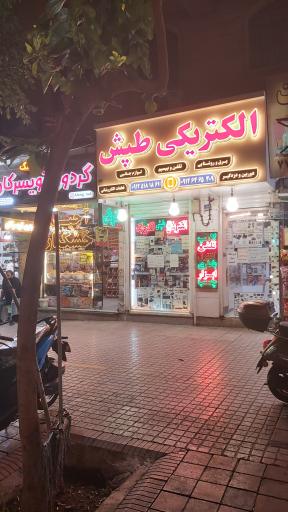 الکتریکی طپش