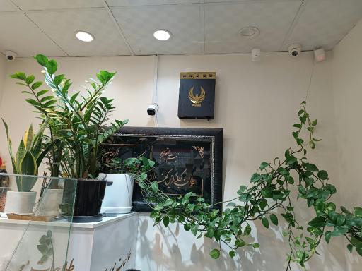 عکس مه ساز امنیتی مهار