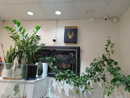 عکس مه ساز امنیتی مهار