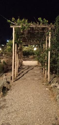 عکس اقامتگاه باغ روستا