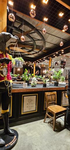 عکس رستوران سمپوزیوم مهستان