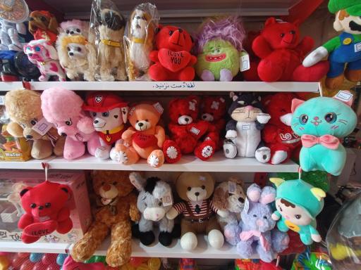 عکس اسباب بازی فروشی اسپرلوس