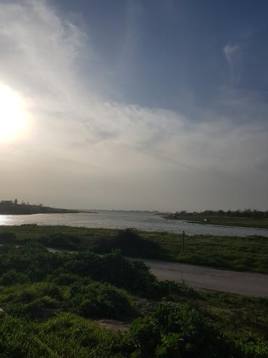 عکس سارجه کر
