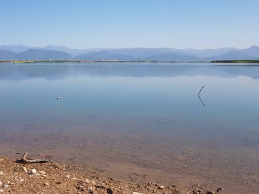 عکس سارجه کر