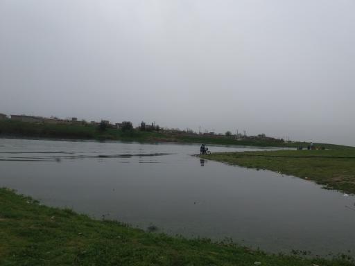 عکس سارجه کر