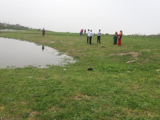 عکس سارجه کر