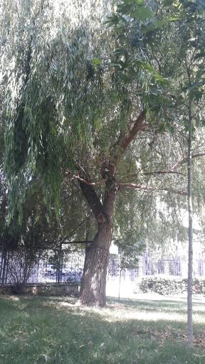 بوستان جهان