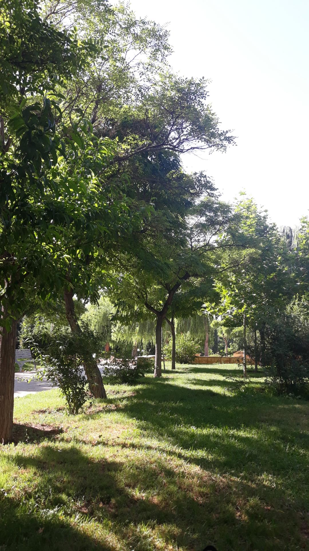 عکس بوستان جهان