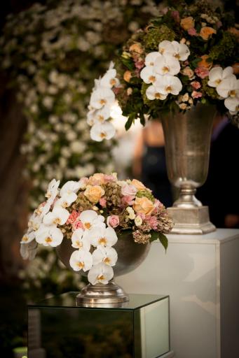 عکس باغ تالار بارانمهر