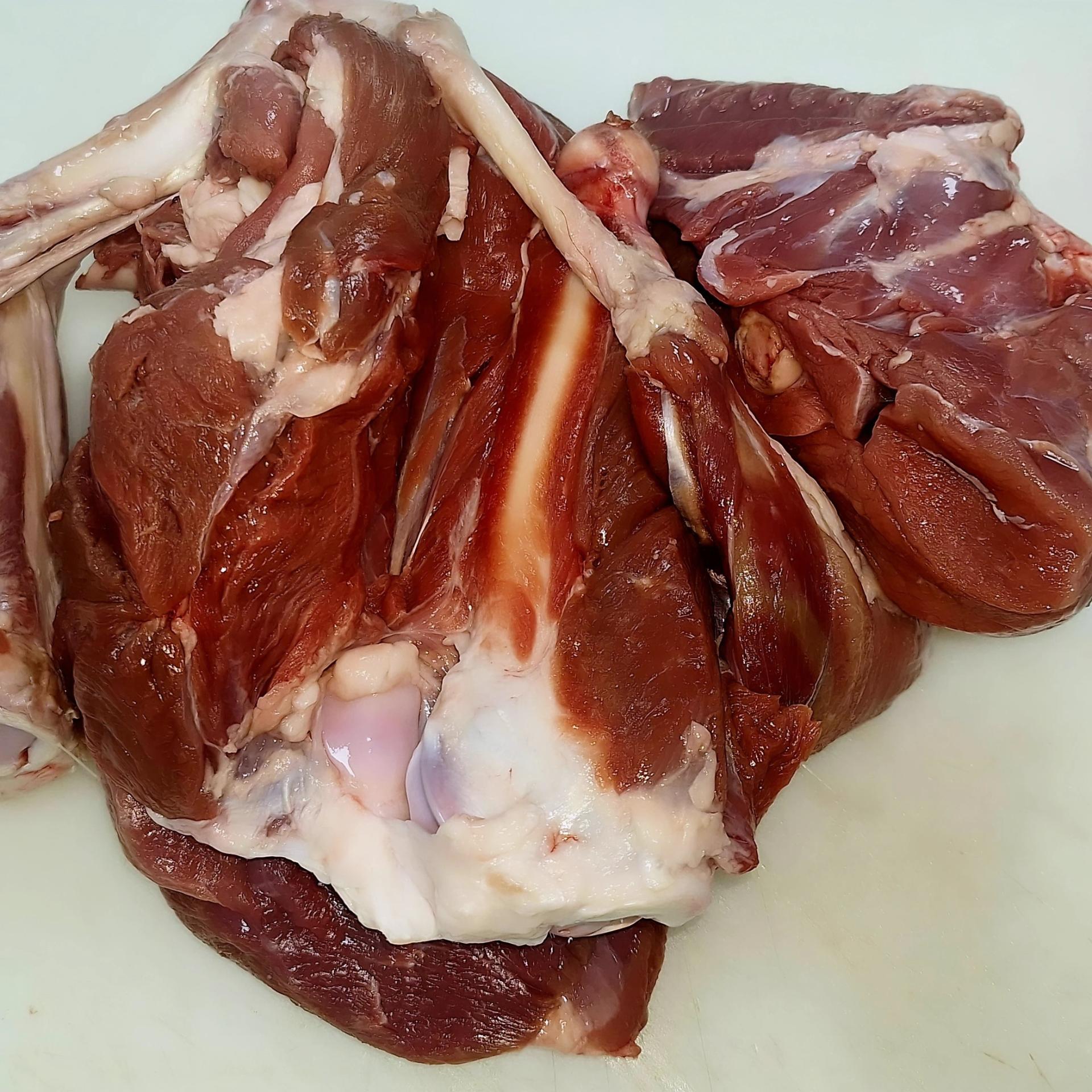 عکس ری پروتین