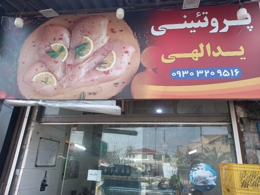 عکس پروتئینی یدالهی