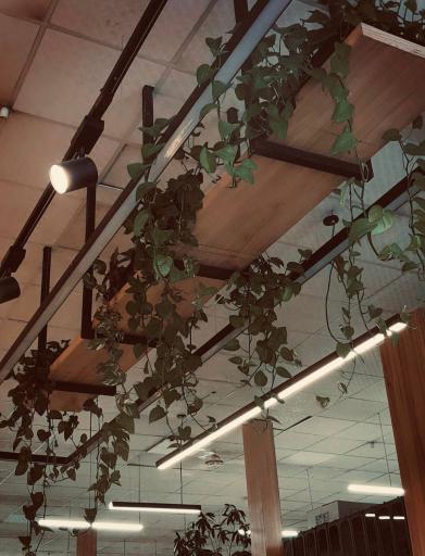 عکس کافه سوما