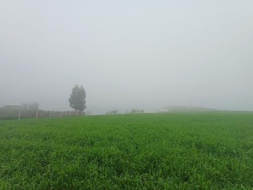 عکس سارجه کر