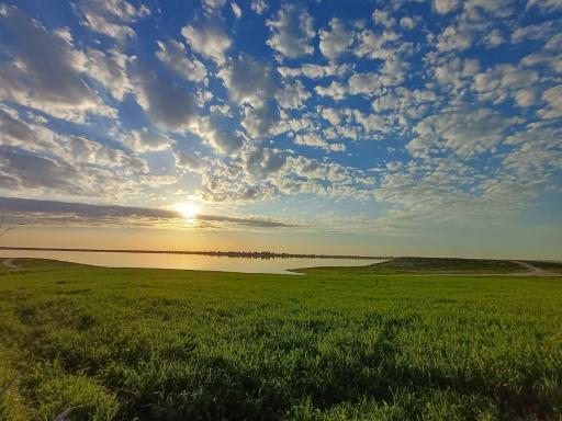 عکس سارجه کر