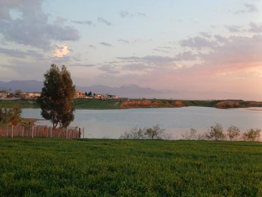 عکس سارجه کر