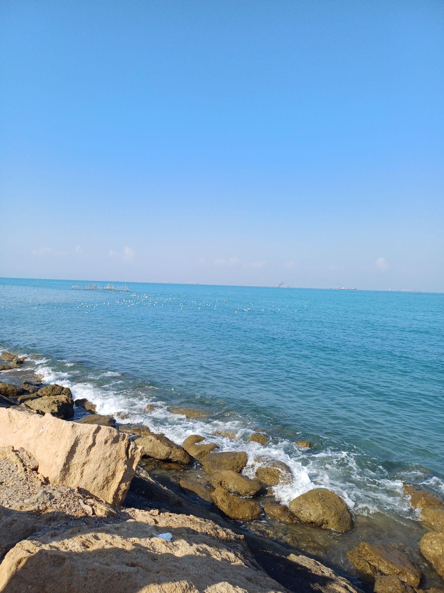 عکس اسکله درؤیش