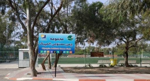 چمن مصنوعی المپیک