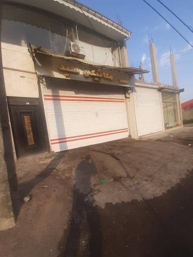 عکس مکانیکی سید