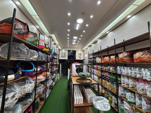 عکس پت فکتوری