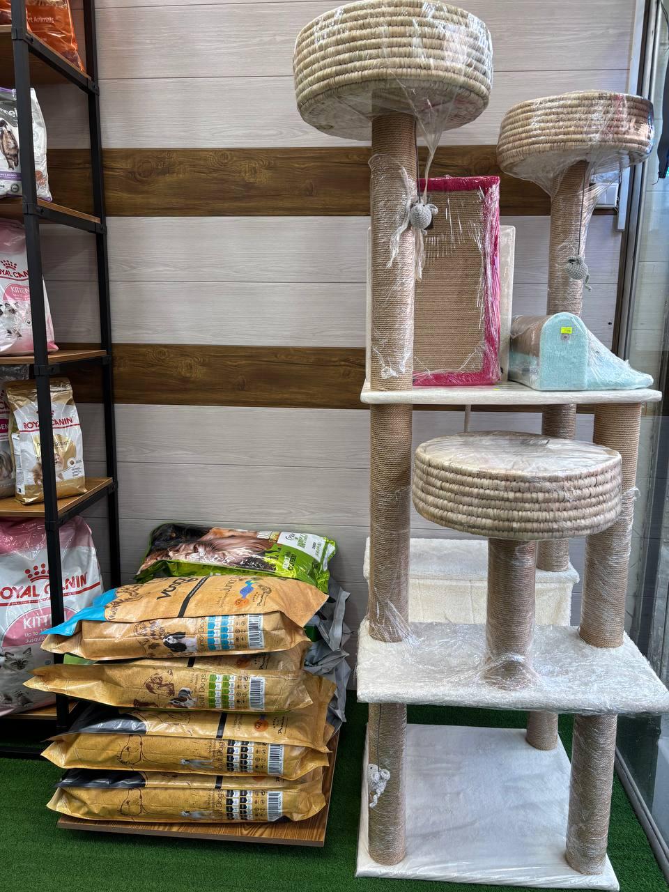 عکس پت فکتوری