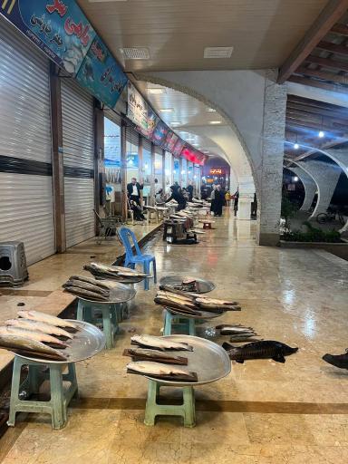 عکس بازار ماهی فروشان رامسر