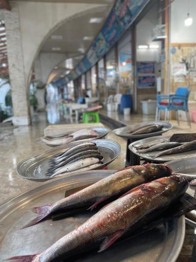 عکس بازار ماهی فروشان رامسر