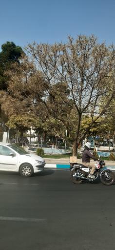 عکس میدان هفت حوض 