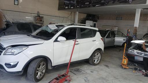 عکس صافکاری و نقاشی برادران تورانی