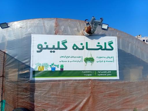 عکس گلخانه گلینو