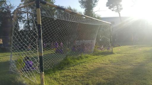 عکس زمین چمن دانشگاه فرهنگیان