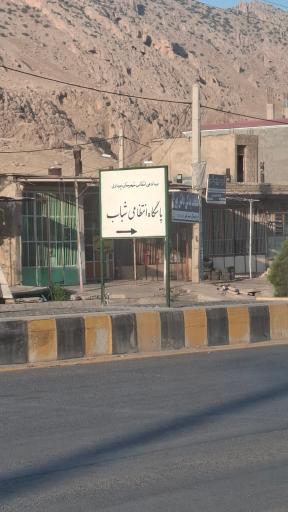 عکس شباب