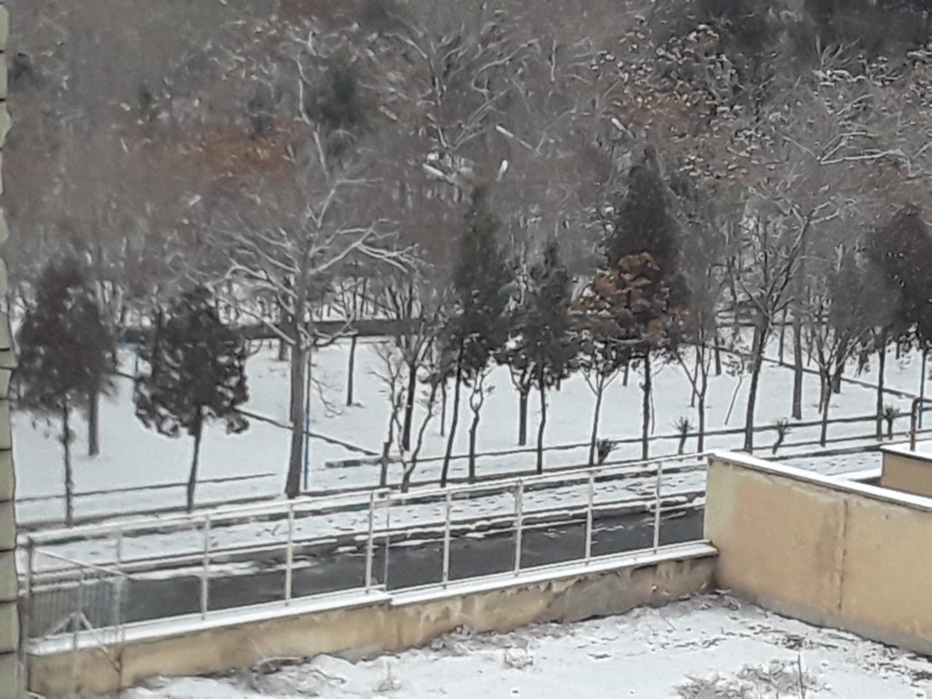 عکس کتابخانه آیت الله محمد محمدی اشتهاردی