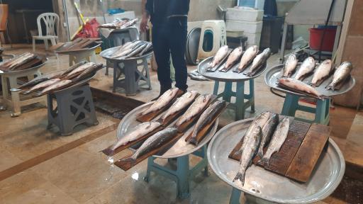 عکس بازار ماهی فروشان رامسر